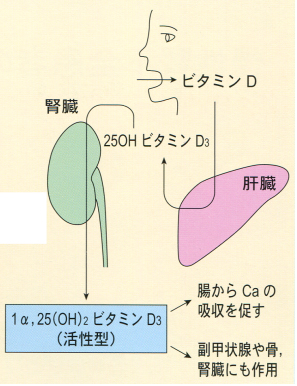 人工透析